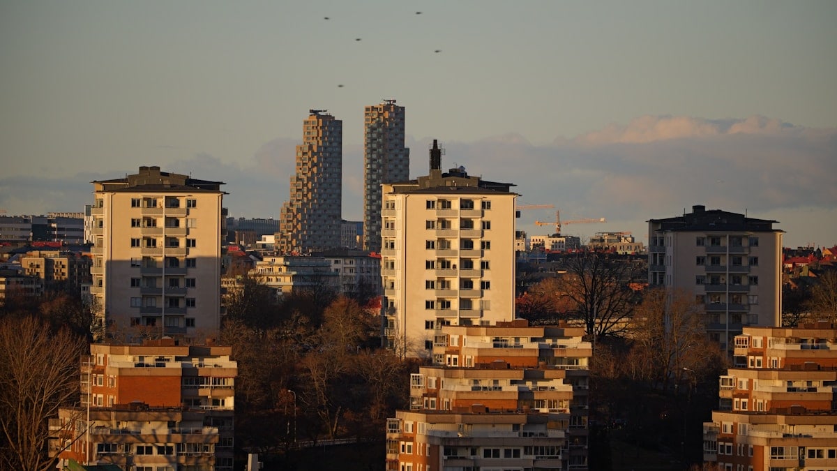 a city with tall buildings and birds flying in the sky